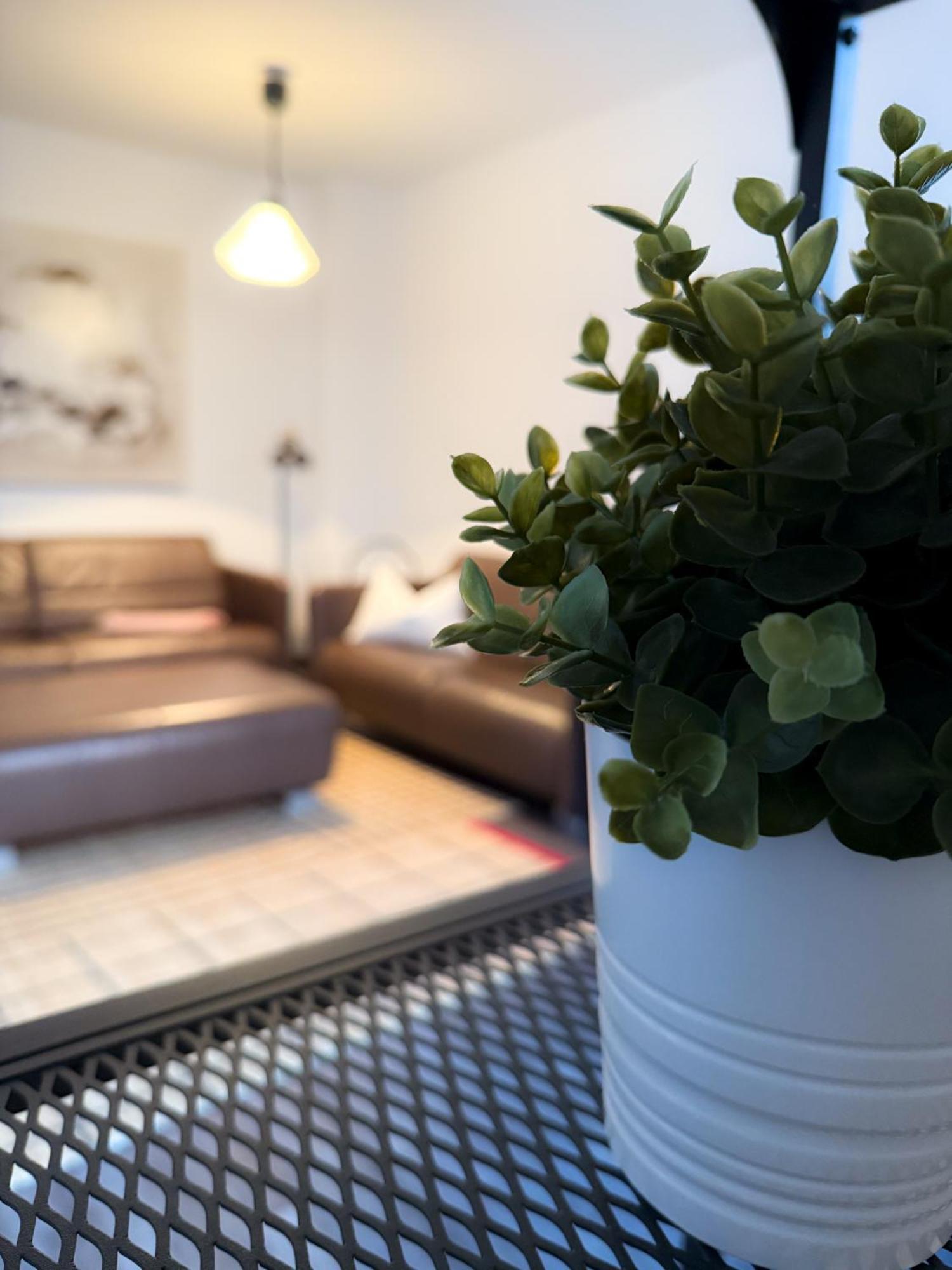Alexxanders Apartments & Studios Кемниц Стая снимка